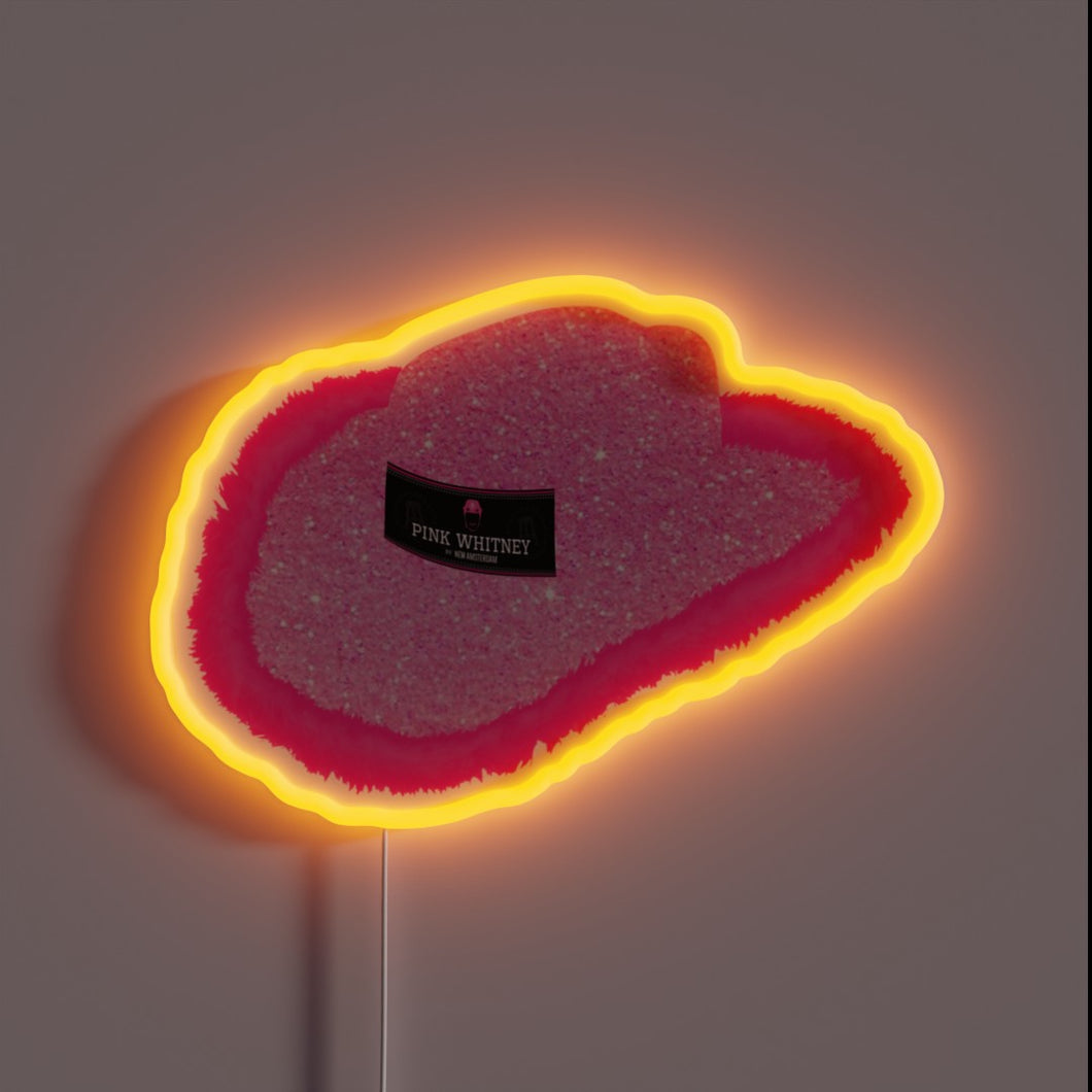 Neon cowboy hat with glitter pink and rainbow LED accents
