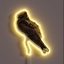 Charger l&#39;image dans la galerie, Vibrant RGB glow illuminates the majestic Great Eared Nightjar&#39;s nocturnal beauty