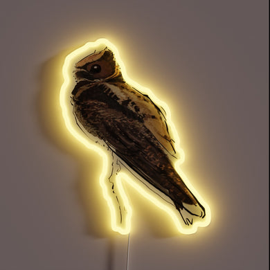 Vibrant RGB glow illuminates the majestic Great Eared Nightjar's nocturnal beauty