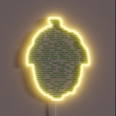 Vibrant illumination for hop enthusiasts, showcasing diverse global varieties.