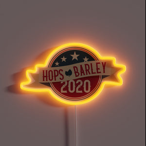 Humorously highlighting America's divisive politics in 2020 election satire