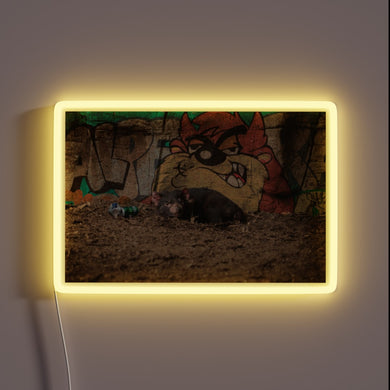 Vibrant neon sign featuring a hungover Tasmanian devil in color.