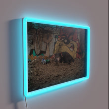 Charger l&#39;image dans la galerie, Tasmanian devil&#39;s mischievous morning after vibe in vibrant RGB glow
