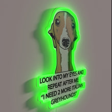 Charger l&#39;image dans la galerie, Pet Parent&#39;s Plea: Rescue Me, Two Italian Greyhounds Needed Here