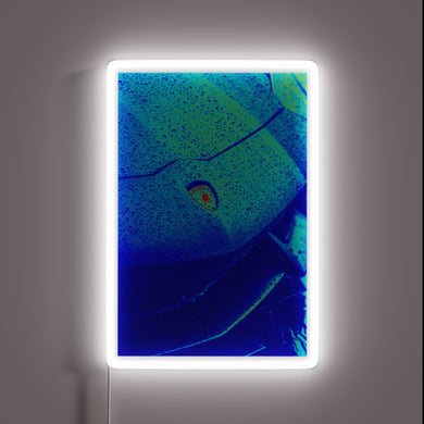 Add vibrant, customizable ambiance to any space with this sign.