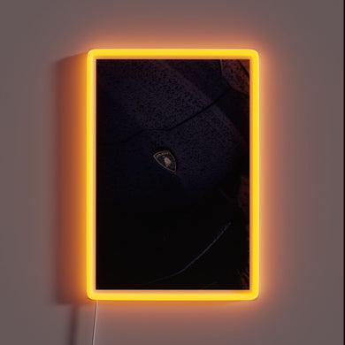 Electric Neon Rainbow LED Sign Display - Lamborghini Racing Spirit