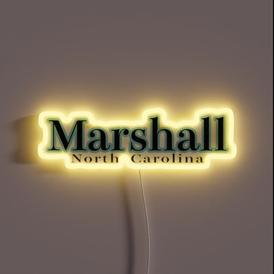 Customizable Marshall NC cityscape RGB LED neon glass sign artwork.