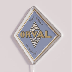 RGB Color Changing Orval Neon Sign Art for Modern Decor