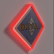 Charger l&#39;image dans la galerie, Add modern vintage ambiance with Orval RGB colorful neon light