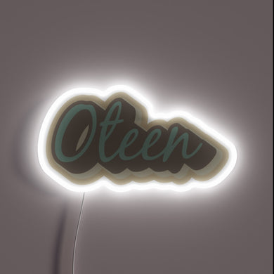 Oteen North Carolina Asheville WNC Colorful Neon Sign Decoration Artwork