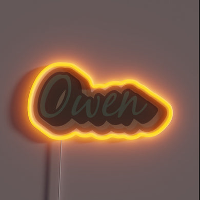 Personalized hometown tribute in vibrant rainbow color LED light.