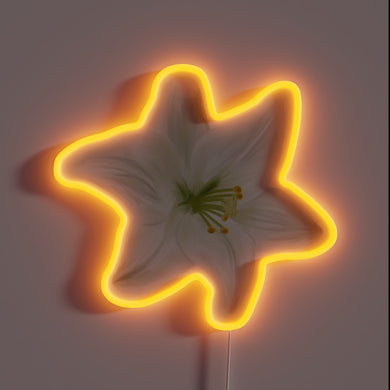 Add vintage charm to your space with this neon flower.