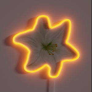Add vintage charm to your space with this neon flower.
