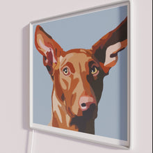 Charger l&#39;image dans la galerie, Glowing Pharaoah Hound Symbolic Artful Neon Decorative Sign Illumination Display