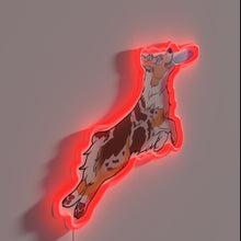 Charger l&#39;image dans la galerie, Vibrant RGB neon sign featuring Red Merle tri Aussie silhouette.