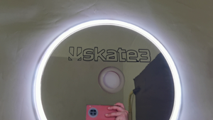 skate-3 mirror