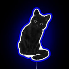 Charger l&#39;image dans la galerie, Spooky Cute Cat RGB neon sign blue