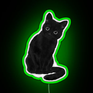 Spooky Cute Cat RGB neon sign green