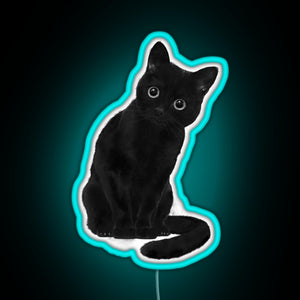 Spooky Cute Cat RGB neon sign lightblue 