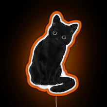 Charger l&#39;image dans la galerie, Spooky Cute Cat RGB neon sign orange