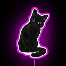 Charger l&#39;image dans la galerie, Spooky Cute Cat RGB neon sign  pink