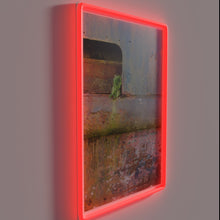 Charger l&#39;image dans la galerie, RGB Neon Sign with Hidden Storage and Artistic Design Elements