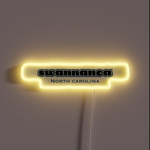 Vibrant RGB LED light installation of Swannanoa NC Asheville sign