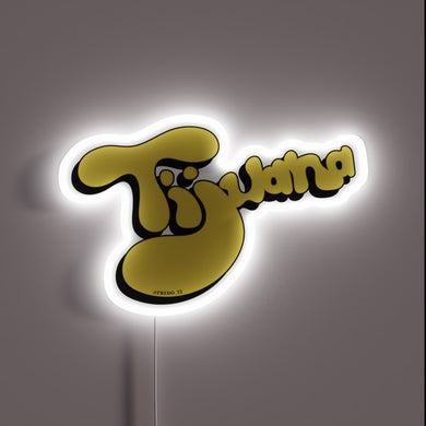 Brightly lit Tijuana landmark inspired RGB neon street art display