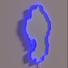 Charger l&#39;image dans la galerie, Vibrant RGB Neon Sign for Tree House Brewing Co Fans Only