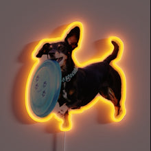 Charger l&#39;image dans la galerie, Neon Sign Blends Colorful RGB Lights with Fun Frisbee Canine Theme