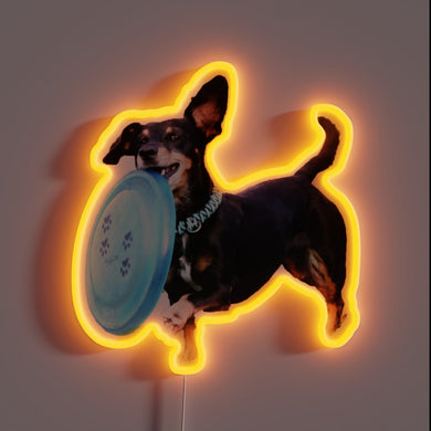 Neon Sign Blends Colorful RGB Lights with Fun Frisbee Canine Theme