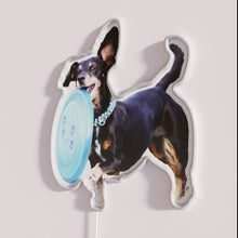 Charger l&#39;image dans la galerie, RGB LED neon dog Ultimate Frisbee sport team decorative wall art