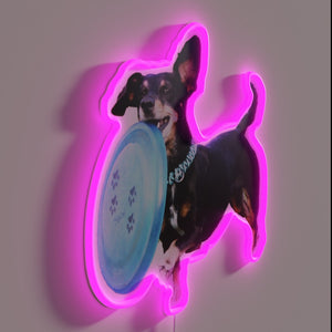 Neon lit love for ultimate frisbee dog parents living life
