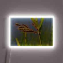 Charger l&#39;image dans la galerie, Vibrant Neon Sign Featuring Iridescent Wild Grasses in Bold Colors