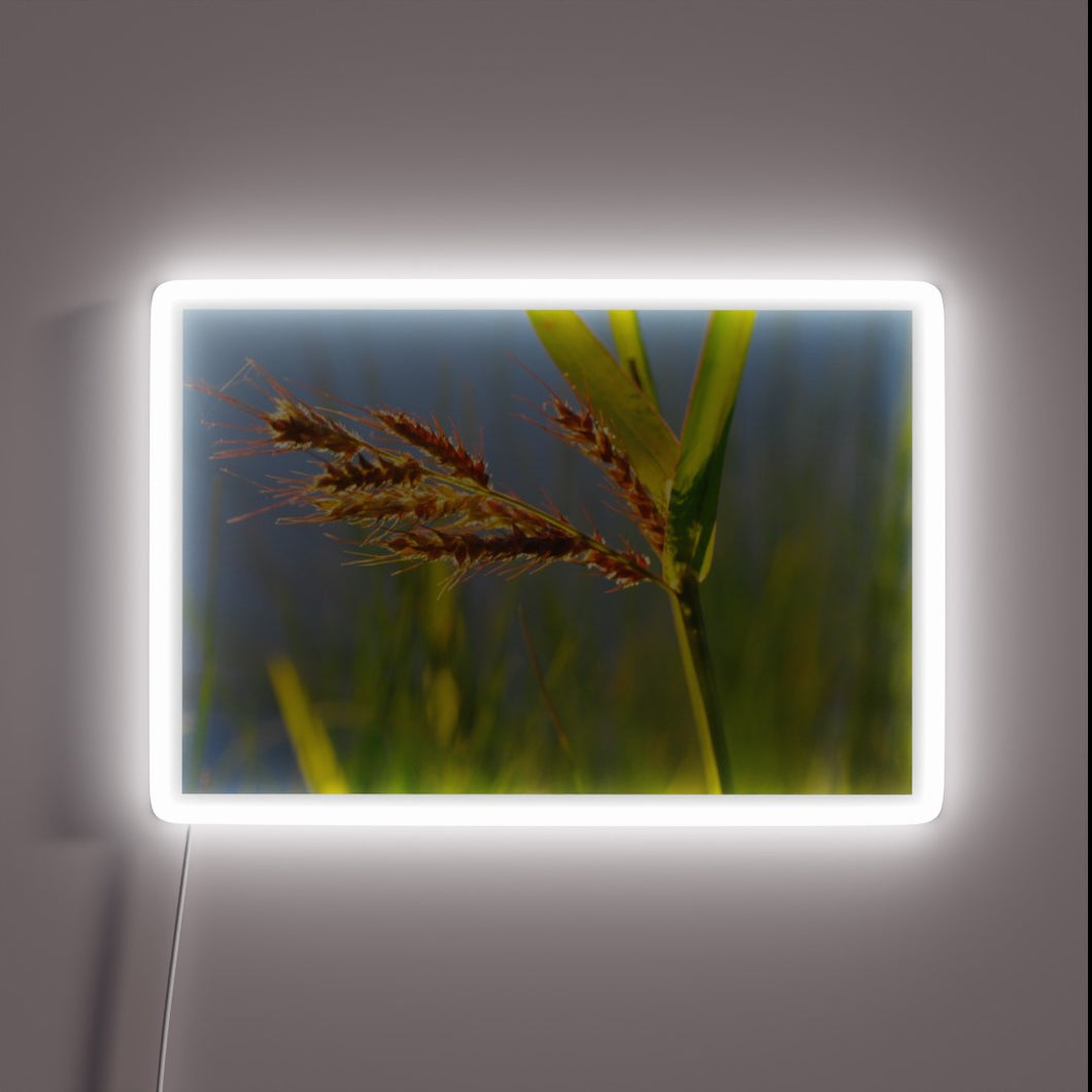 Vibrant Neon Sign Featuring Iridescent Wild Grasses in Bold Colors