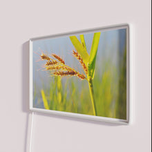 Charger l&#39;image dans la galerie, Add vibrant wild grasses ambiance with RGB color changing neon