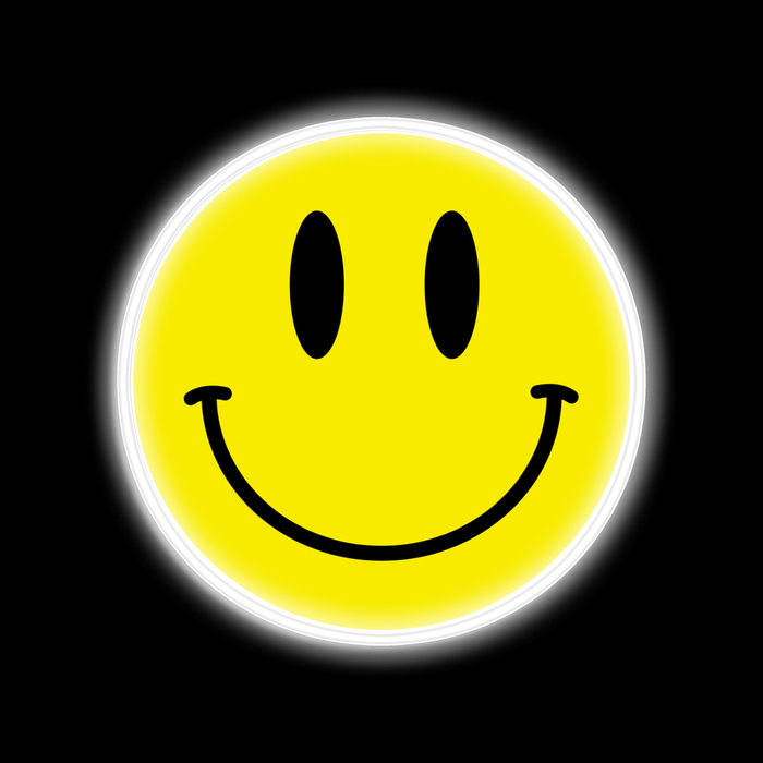 SMILEY FACE neon sign on canvas