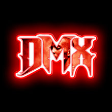 Charger l&#39;image dans la galerie, DMX neon light
