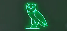 Charger l&#39;image dans la galerie, OVO owl neon led sign