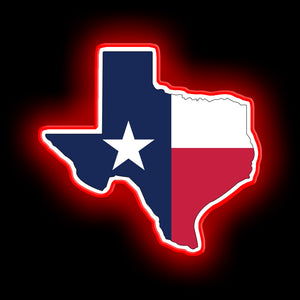 Aperçu de l'État du Texas avec signe de néon drapeau