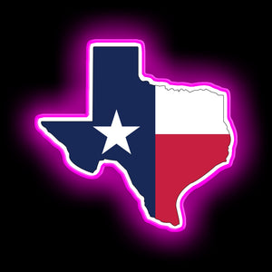 Aperçu de l'État du Texas avec signe de néon drapeau