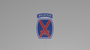 10th mountain division wall light